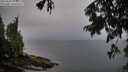 ./images/koeye/fitz-hugh/20250809/fitz-hugh20250809_191509M.jpg