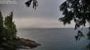 ./images/koeye/fitz-hugh/20250809/fitz-hugh20250809_192508M.jpg