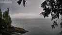 ./images/koeye/fitz-hugh/20250809/fitz-hugh20250809_193508M.jpg