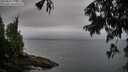 ./images/koeye/fitz-hugh/20250809/fitz-hugh20250809_194009M.jpg
