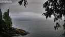 ./images/koeye/fitz-hugh/20250809/fitz-hugh20250809_194508M.jpg