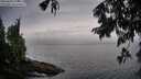 ./images/koeye/fitz-hugh/20250809/fitz-hugh20250809_195010M.jpg