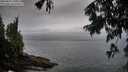 ./images/koeye/fitz-hugh/20250809/fitz-hugh20250809_200509M.jpg