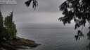 ./images/koeye/fitz-hugh/20250809/fitz-hugh20250809_202508M.jpg