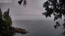 ./images/koeye/fitz-hugh/20250809/fitz-hugh20250809_211509M.jpg