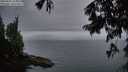 ./images/koeye/fitz-hugh/20250809/fitz-hugh20250809_212508M.jpg