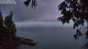 ./images/koeye/fitz-hugh/20250809/fitz-hugh20250809_213508M.jpg