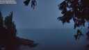 ./images/koeye/fitz-hugh/20250810/fitz-hugh20250810_054009M.jpg