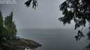 ./images/koeye/fitz-hugh/20250810/fitz-hugh20250810_064509M.jpg