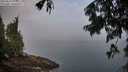 ./images/koeye/fitz-hugh/20250810/fitz-hugh20250810_072009M.jpg