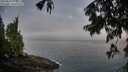 ./images/koeye/fitz-hugh/20250810/fitz-hugh20250810_073509M.jpg