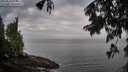 ./images/koeye/fitz-hugh/20250810/fitz-hugh20250810_074510M.jpg