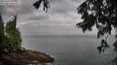 ./images/koeye/fitz-hugh/20250810/fitz-hugh20250810_075011M.jpg