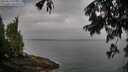 ./images/koeye/fitz-hugh/20250810/fitz-hugh20250810_075510M.jpg