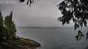 ./images/koeye/fitz-hugh/20250810/fitz-hugh20250810_081010M.jpg
