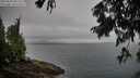 ./images/koeye/fitz-hugh/20250810/fitz-hugh20250810_081510M.jpg