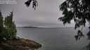 ./images/koeye/fitz-hugh/20250810/fitz-hugh20250810_082510M.jpg
