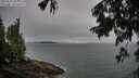 ./images/koeye/fitz-hugh/20250810/fitz-hugh20250810_083011M.jpg