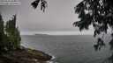 ./images/koeye/fitz-hugh/20250810/fitz-hugh20250810_084511M.jpg