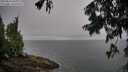 ./images/koeye/fitz-hugh/20250810/fitz-hugh20250810_085510M.jpg