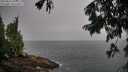 ./images/koeye/fitz-hugh/20250810/fitz-hugh20250810_091010M.jpg