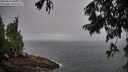 ./images/koeye/fitz-hugh/20250810/fitz-hugh20250810_093011M.jpg