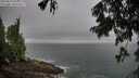 ./images/koeye/fitz-hugh/20250810/fitz-hugh20250810_094011M.jpg