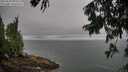 ./images/koeye/fitz-hugh/20250810/fitz-hugh20250810_094512M.jpg