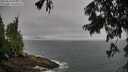 ./images/koeye/fitz-hugh/20250810/fitz-hugh20250810_095011M.jpg