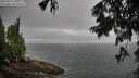 ./images/koeye/fitz-hugh/20250810/fitz-hugh20250810_095510M.jpg
