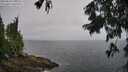 ./images/koeye/fitz-hugh/20250810/fitz-hugh20250810_101008M.jpg
