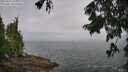 ./images/koeye/fitz-hugh/20250810/fitz-hugh20250810_102510M.jpg