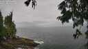 ./images/koeye/fitz-hugh/20250810/fitz-hugh20250810_103011M.jpg