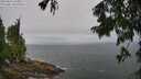 ./images/koeye/fitz-hugh/20250810/fitz-hugh20250810_103510M.jpg