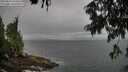 ./images/koeye/fitz-hugh/20250810/fitz-hugh20250810_104510M.jpg