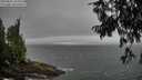 ./images/koeye/fitz-hugh/20250810/fitz-hugh20250810_105011M.jpg