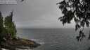 ./images/koeye/fitz-hugh/20250810/fitz-hugh20250810_105510M.jpg