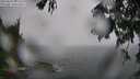./images/koeye/fitz-hugh/20250810/fitz-hugh20250810_121510M.jpg