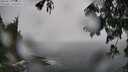 ./images/koeye/fitz-hugh/20250810/fitz-hugh20250810_122511M.jpg