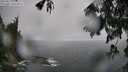 ./images/koeye/fitz-hugh/20250810/fitz-hugh20250810_123010M.jpg