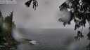 ./images/koeye/fitz-hugh/20250810/fitz-hugh20250810_123510M.jpg