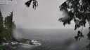 ./images/koeye/fitz-hugh/20250810/fitz-hugh20250810_124511M.jpg
