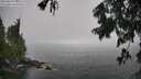 ./images/koeye/fitz-hugh/20250810/fitz-hugh20250810_131511M.jpg