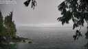 ./images/koeye/fitz-hugh/20250810/fitz-hugh20250810_132011M.jpg