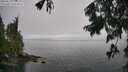 ./images/koeye/fitz-hugh/20250810/fitz-hugh20250810_132508M.jpg