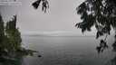 ./images/koeye/fitz-hugh/20250810/fitz-hugh20250810_133011M.jpg