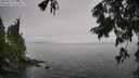 ./images/koeye/fitz-hugh/20250810/fitz-hugh20250810_133510M.jpg