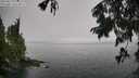 ./images/koeye/fitz-hugh/20250810/fitz-hugh20250810_134011M.jpg
