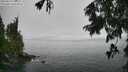 ./images/koeye/fitz-hugh/20250810/fitz-hugh20250810_134511M.jpg