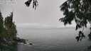 ./images/koeye/fitz-hugh/20250810/fitz-hugh20250810_135010M.jpg